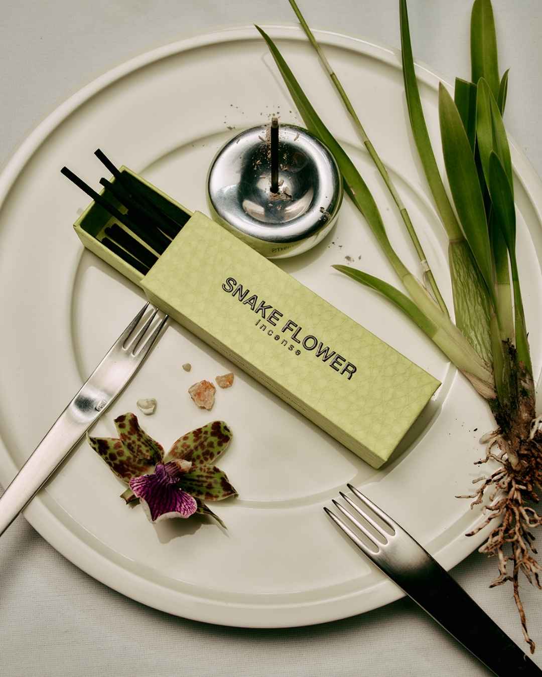 GENTLE HABITS Snake Flower