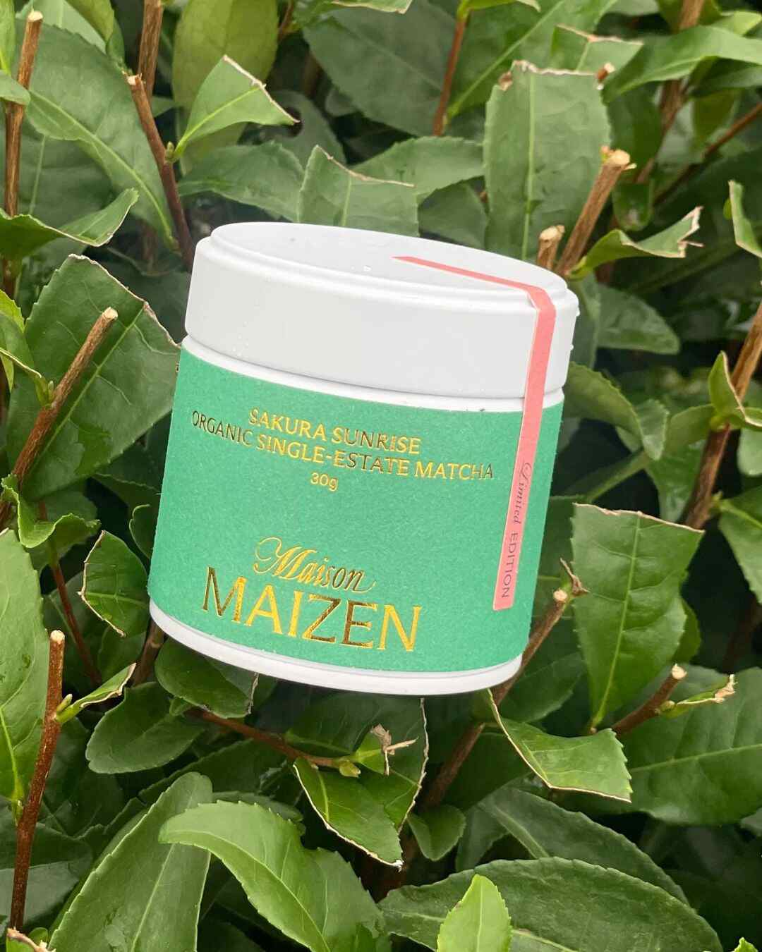 MAISON MAIZEN Organic Matcha