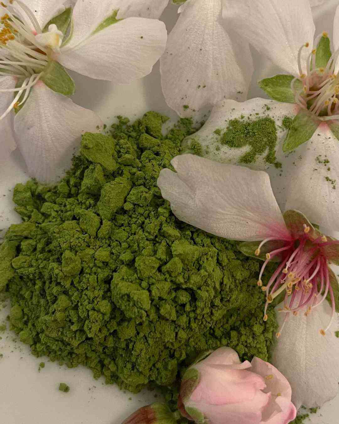 MAISON MAIZEN Organic Matcha