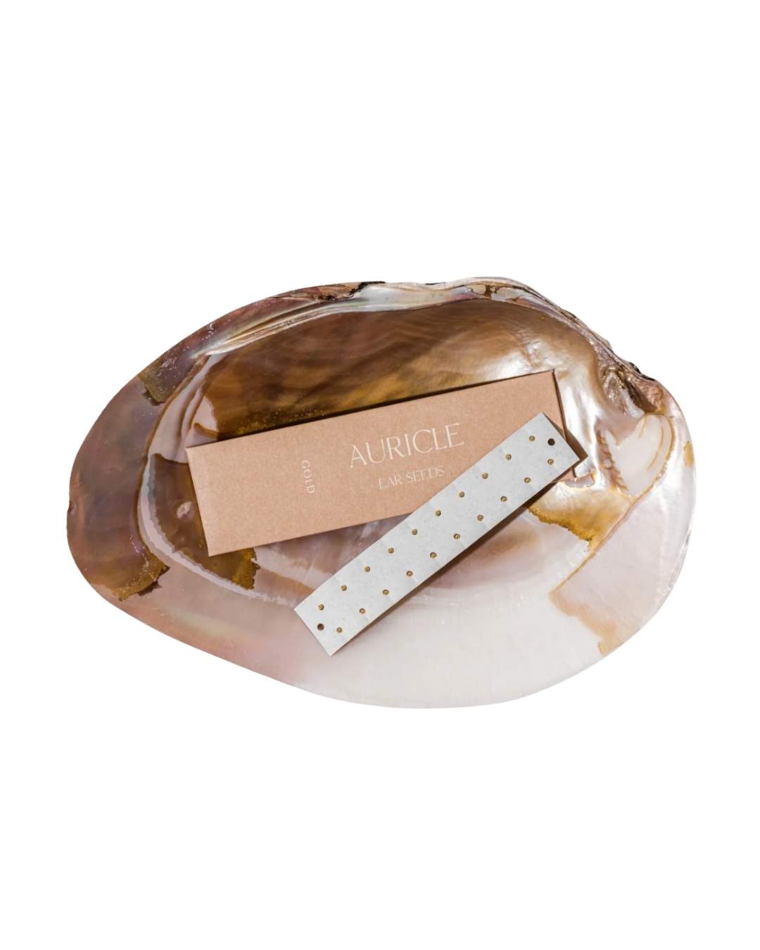 AURICLE EAR SEEDS Starter Pack