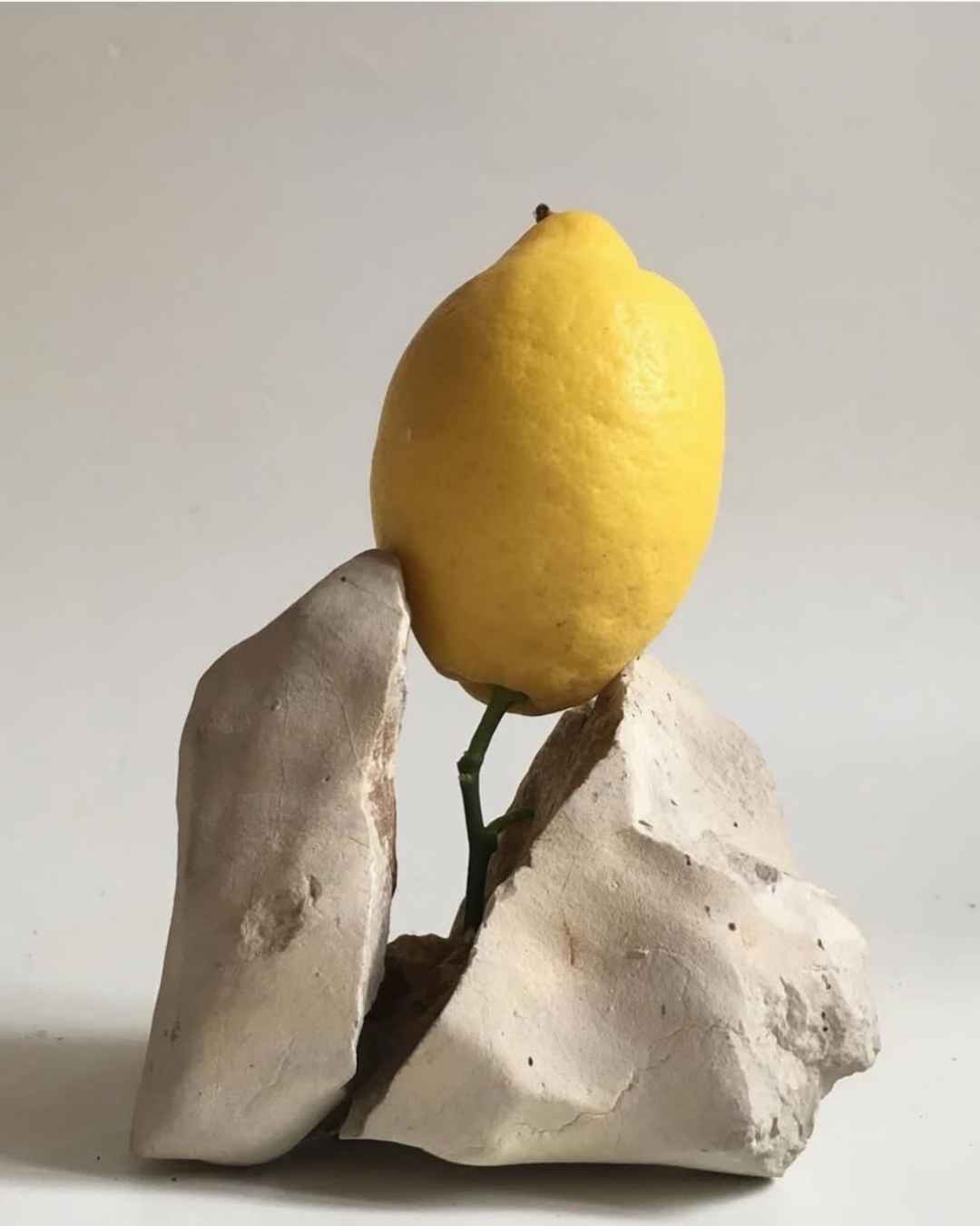 LAND ESSENTIALS Daily Lemon