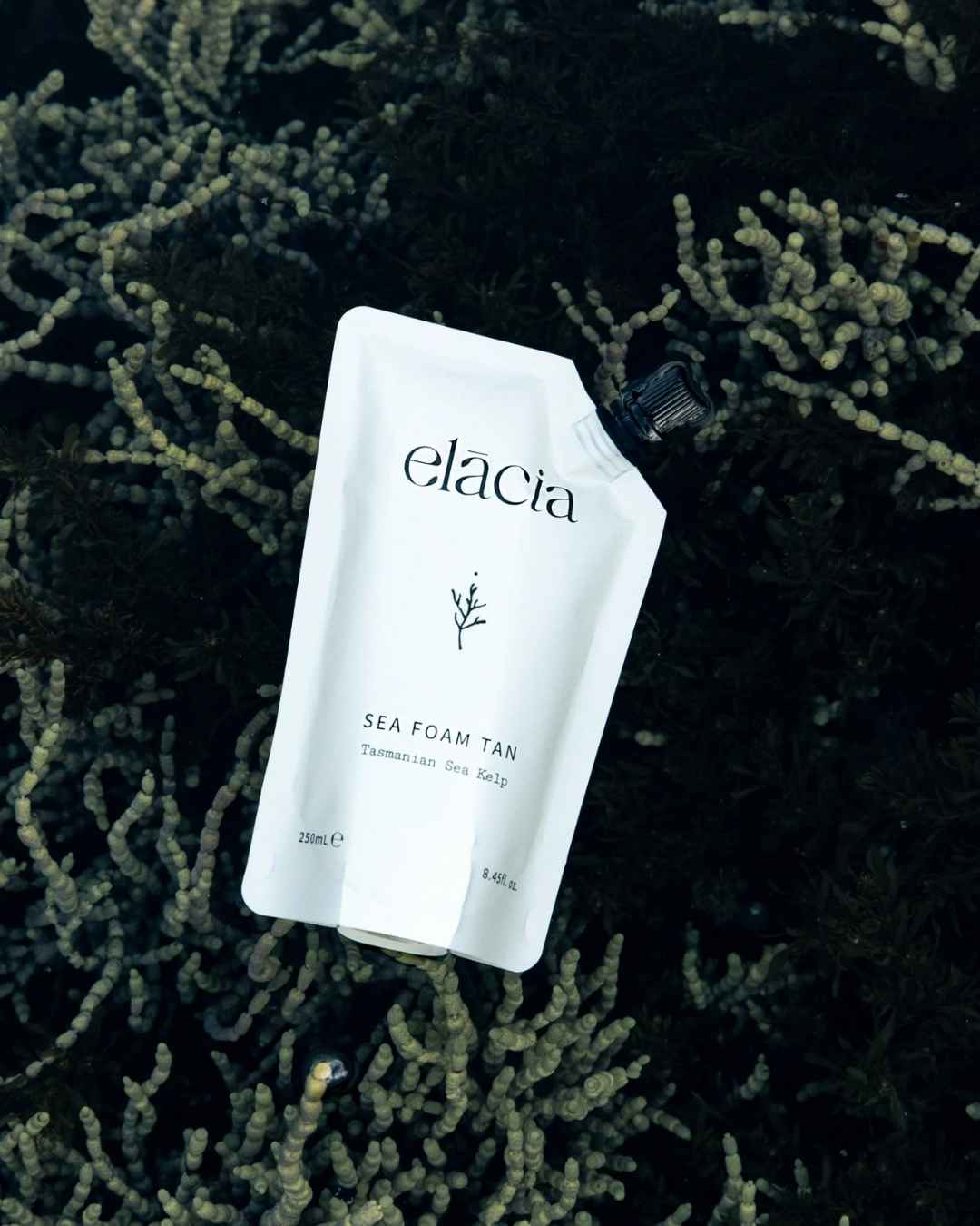 ELACIA Sea Foam Tan Refill